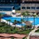 Kamelya World Selin 